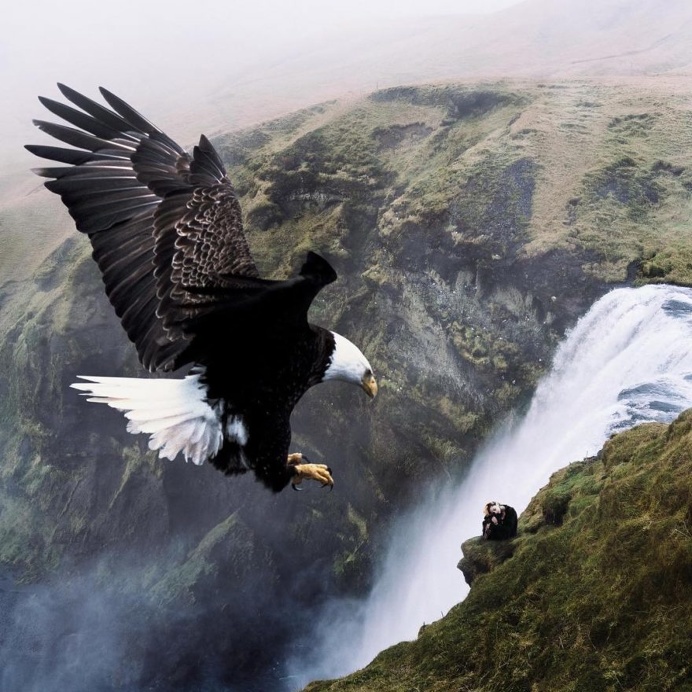 #TedsLittleDream: Stunning Photo Manipulations by Ted Chin