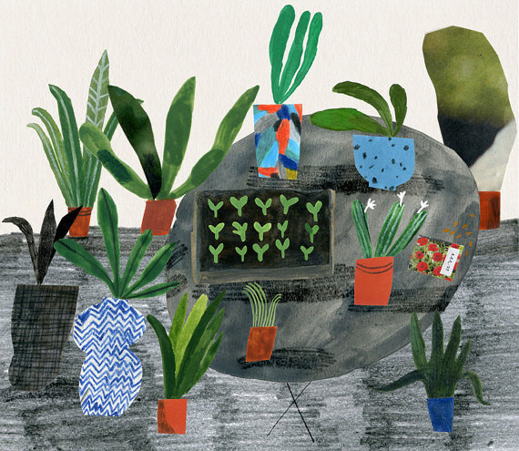 Pot Plants Outside giclee print #lewis #emma