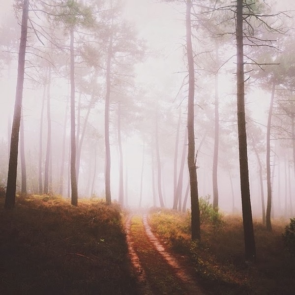 Instagram of Alex Strohl #inspiration #photography #iphoneography