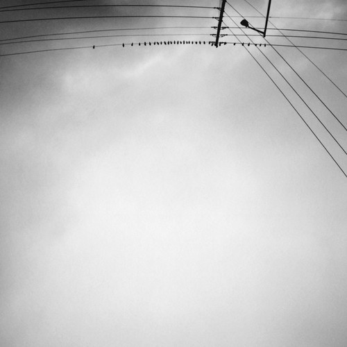 Armand Margjeka - Hummingbird (LP) #cover #minimal #art #music #blackandwhite