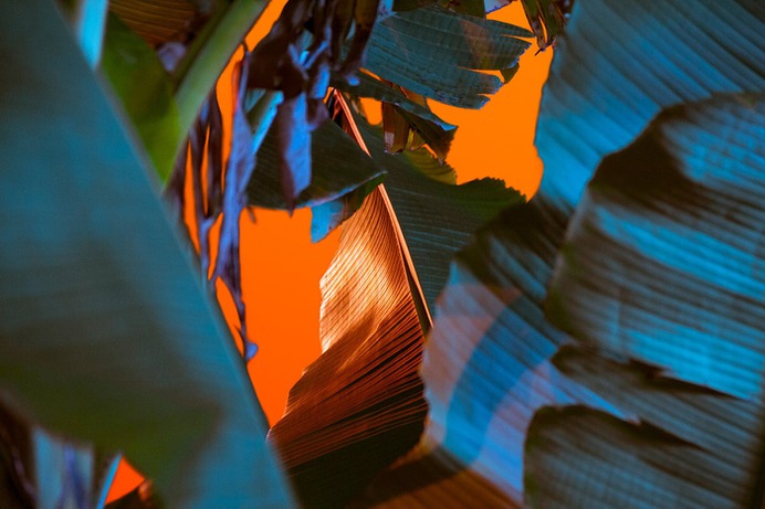 Nuclear Garden Photo-series - Mindsparkle Mag Beautiful photography set entitled Nuclear Series by Local Preacher, in Russia. #design #color #photography #graphic #design #gallery #blog #project #mindsparkle #mag #beautiful #portfolio #designer