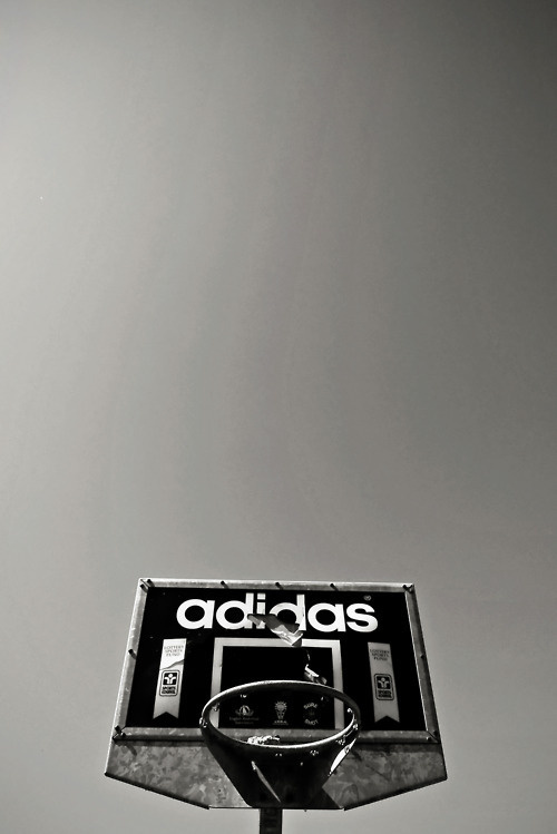 Photography #adidas #photography #basket