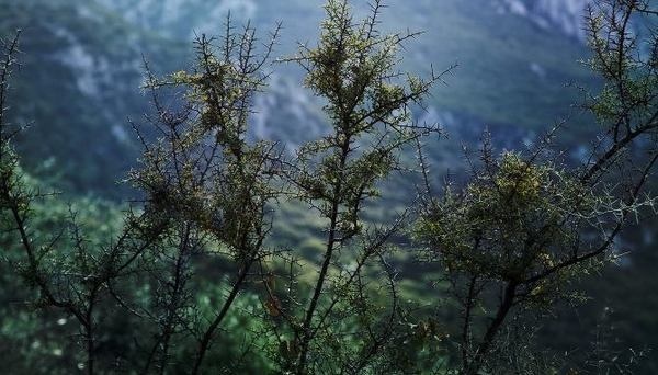 Dennis Andrianopoulos #photography