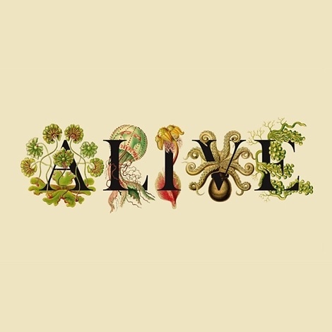 iainclaridge.net | Page 7 #illustration #typography