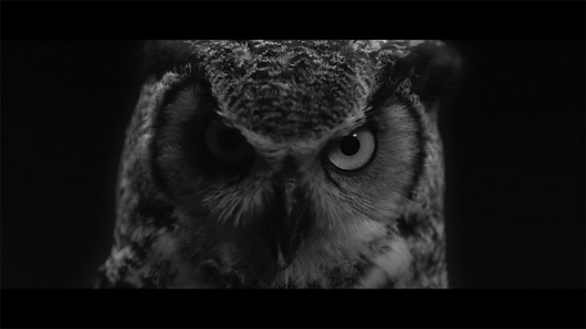 Yoann Lemoine #white #black #woodkid #video #and #music