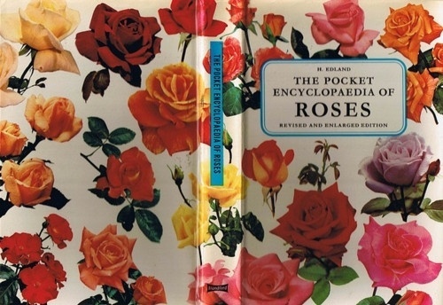 Chimes&Rhymes | innovative design and new techniques in visual artistry #encyclopedia #roses #pocket