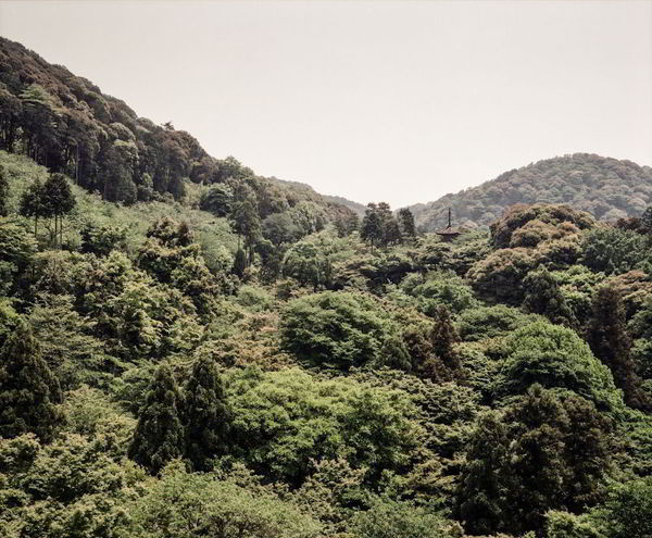 Kris Graves #kris #graves #japan #photograph