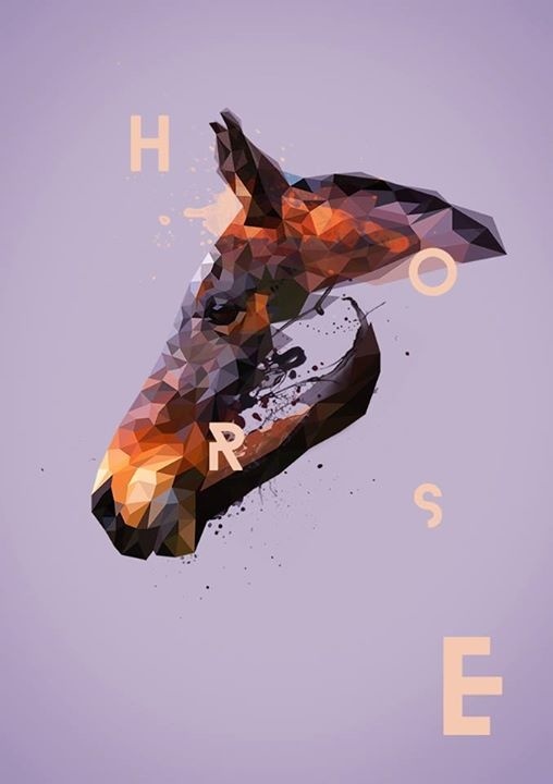 horse,animal,drawing,nature