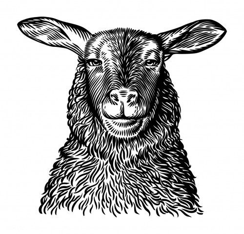 Rithuset.se | frankhjalpen.jpg #illustration #sweden #rithuset