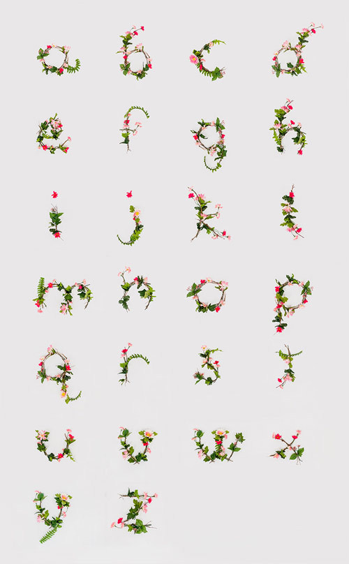 Typography by Anna Lee #flora #alphabet #flower #type #typography