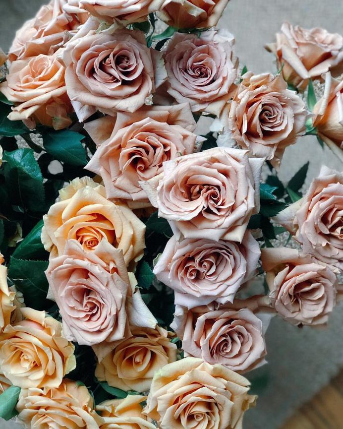 #bhgflowers: Beautiful Flower Photography by Kelsea Olivia Gaynor