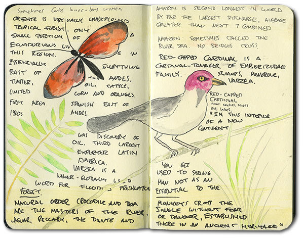 Oriente Moleskine #notes #moleskine