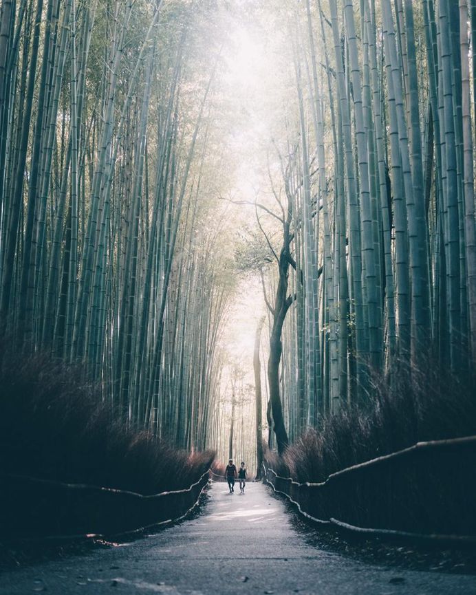 Beautiful Urban and Nature Photos of Japan by Taro Moberly