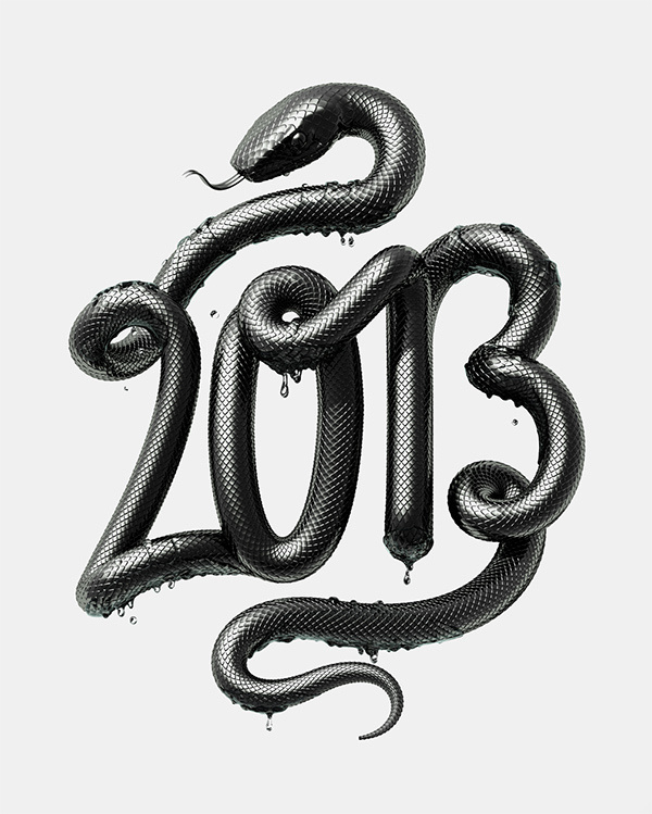 2013 - Year of the Black Water Snake #lettering #3d #typography