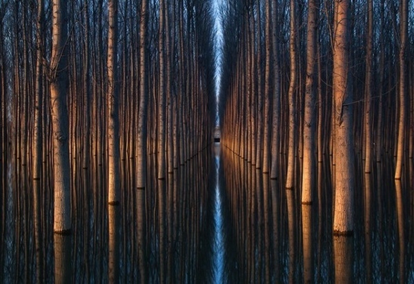 Optical Illusion Photography by Oliver Delgado #photography