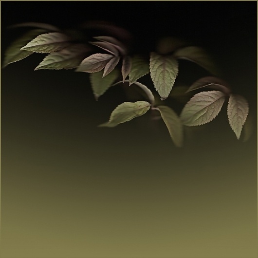 Vert, Artwork by Encorine #flower