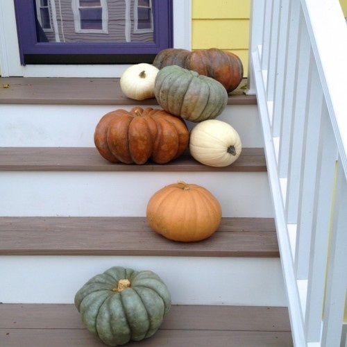 photo 62 #interior #pumpkin #design #deco #decoration