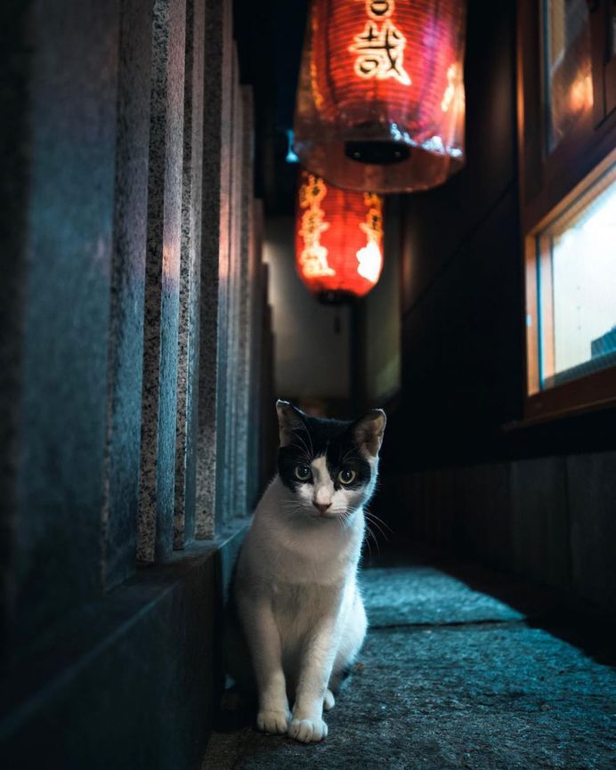 #streets_vision: Vibrant Street Photography by Jimmy Chan