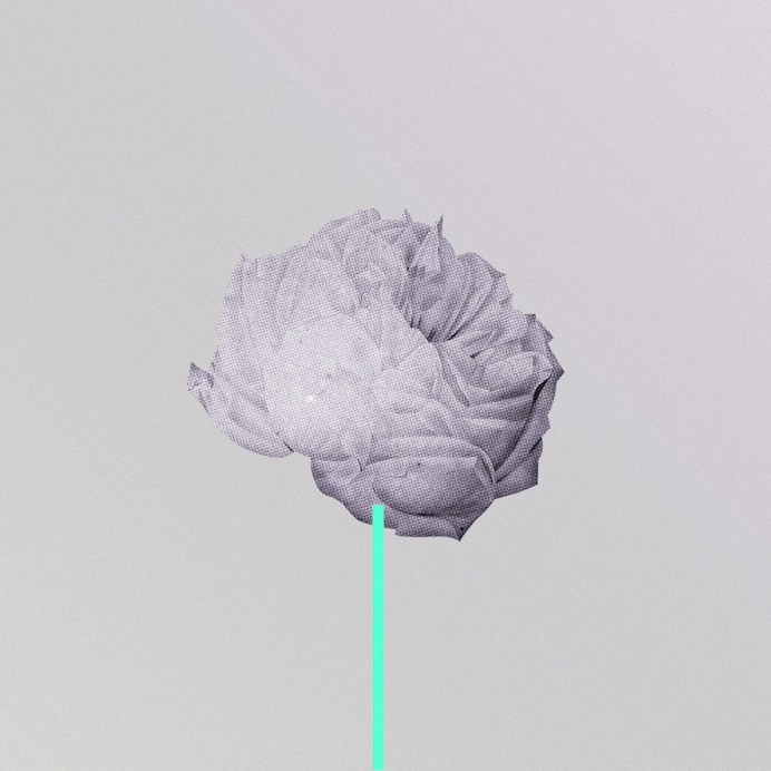 layout, abstract, album, minimal