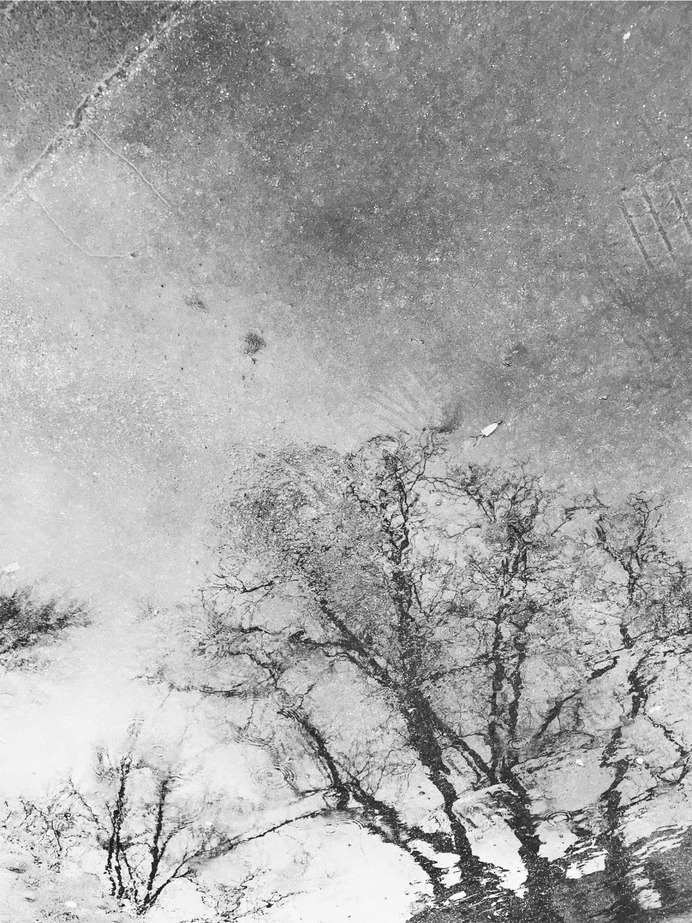 VSCO - co-catinca - Images
