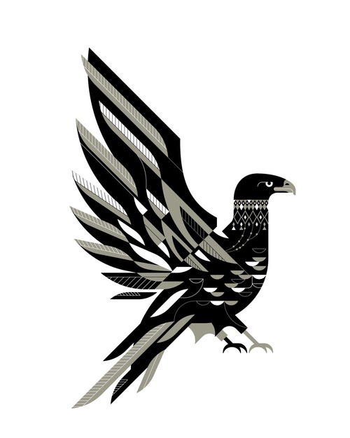 The Hawk #hawk #feather #feathers #bird #claw #beak