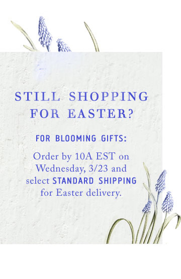 Shop Terrain - Anthropologie