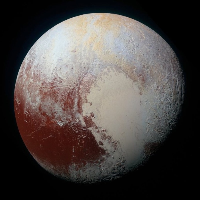 The Winners of The 10th Annual Wikimedia Commons Picture of The Year