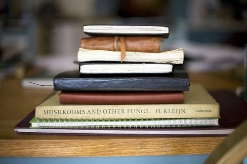 Luxury Script #photo #photography #books