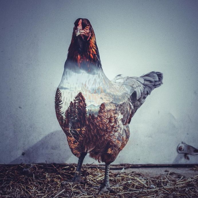 Dreamlike Multi Exposure Photo Manipulations by Paul Haag