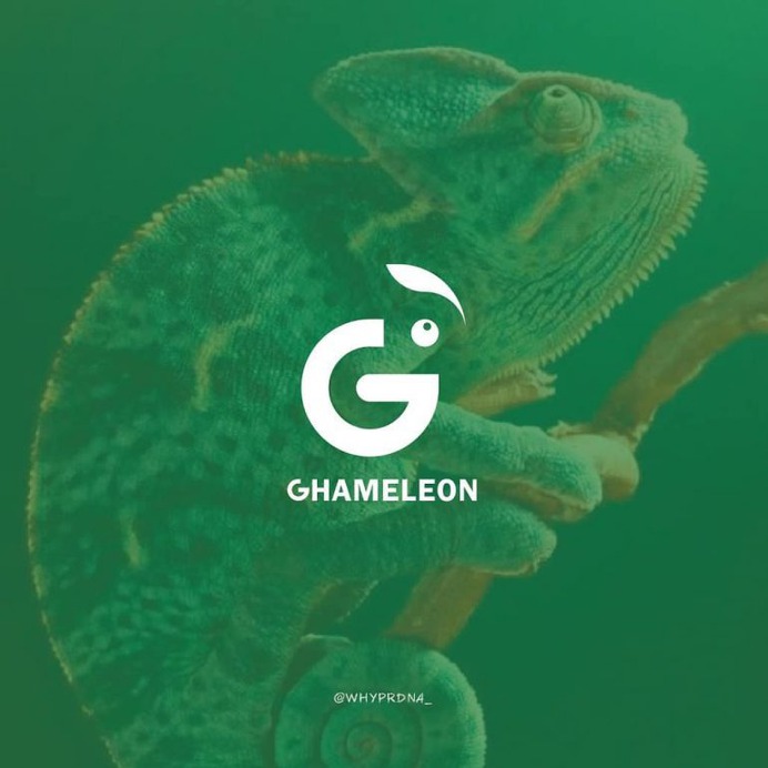 G + Chameleon 🦎