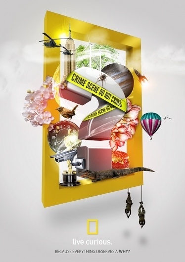 National Geographic - Everything Deserves a why on the Behance Network #live #modern #taha #photo #print #curious #manipulation #poster #ngc
