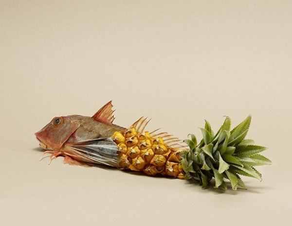 Photography by Rene Mesman #inspiration #still #photography #life