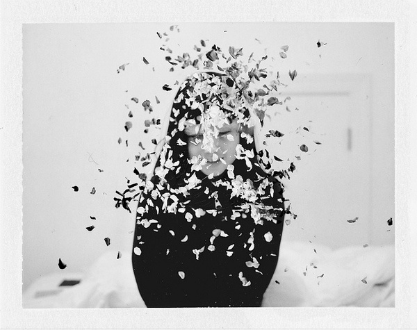 photo #white #girl #black #polaroid #and #flower