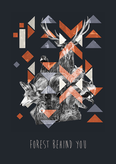 http://www.behance.net/gallery/Deep forestplaying card/10425295 #deer #fox #geometric #illustration #poster #animals #forest