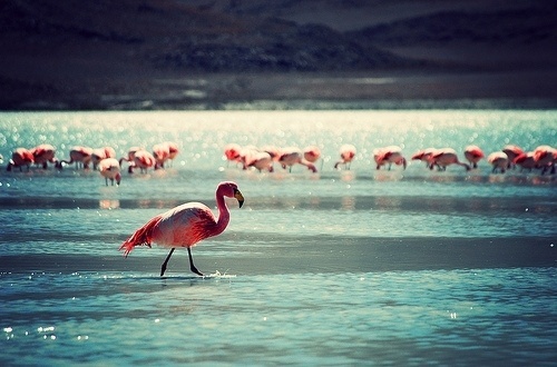 Merde! - Photography #photography