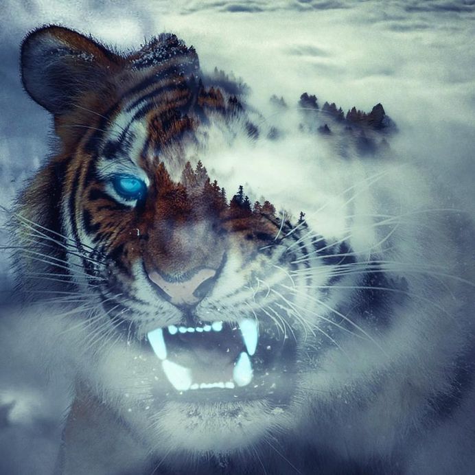 Dreamlike Multi Exposure Photo Manipulations by Paul Haag