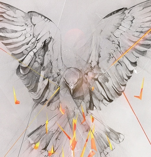 Hewlett Packard on the Behance Network #flames #illustration #fire #bird