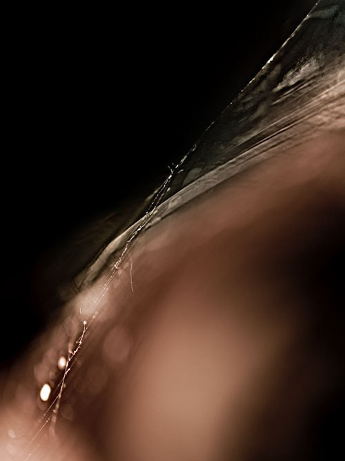 a heptatych by stefan beyst #gallery #chance #beyst #aleatoric #stefan #art #accidental