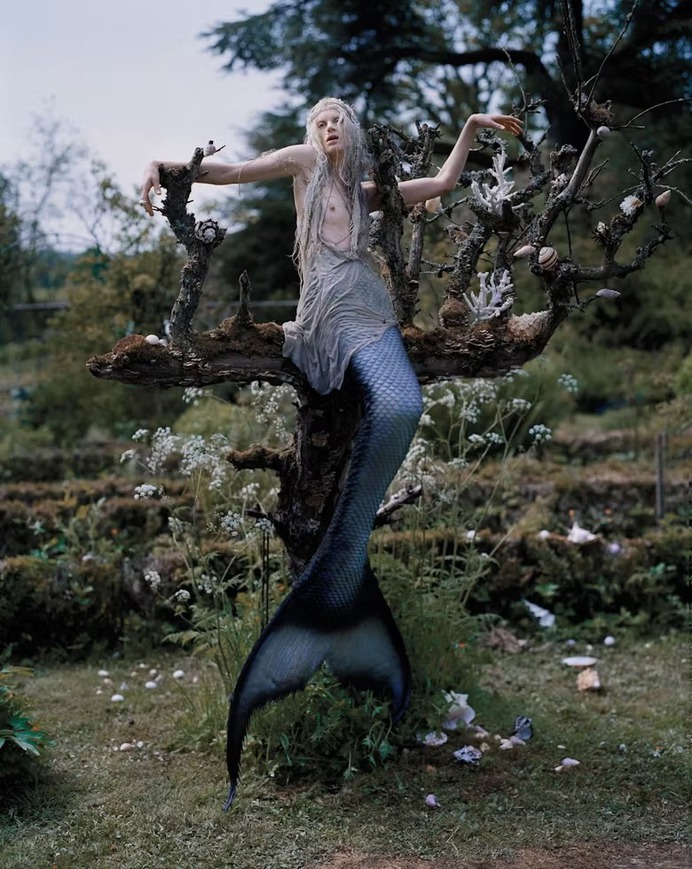 tim walker