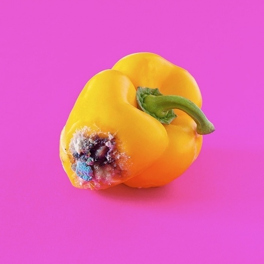 HUH. Magazine - Submission Sunday #photography #art
