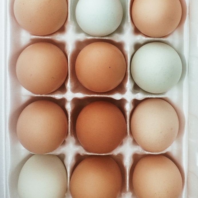 egg eggs