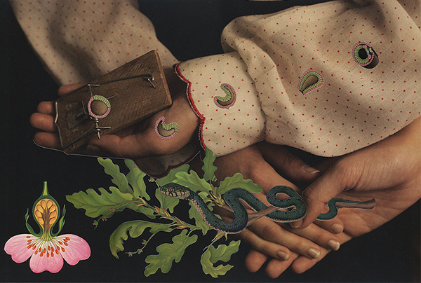 Magdalena Franczuk & Ashkan Honarvar | PICDIT #photo #collage #design #art