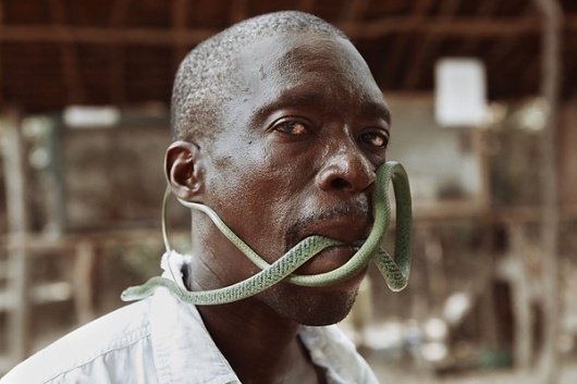 Kenya on the Behance Network #photography #snake