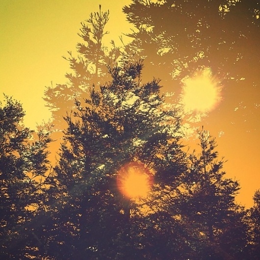B3PO | Untitled #b3po #instagram #photography #landscapes #nature