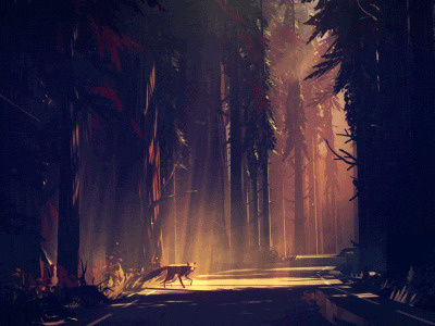 Fox animation https://www.instagram.com/mklgustafsson/