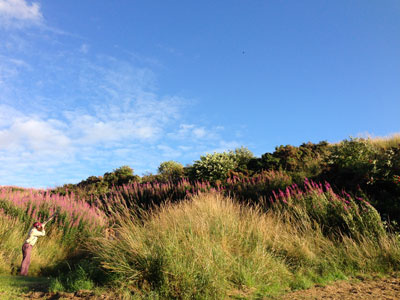 Braidwood - Scotland