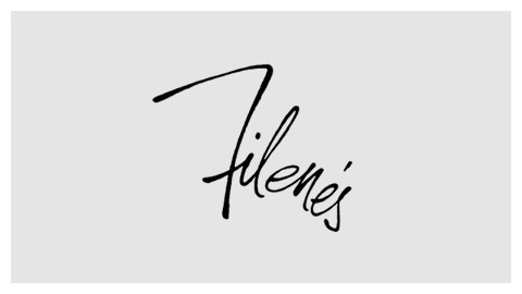 Handlettered logos from defunct department stores #script #lettering #hand #typography