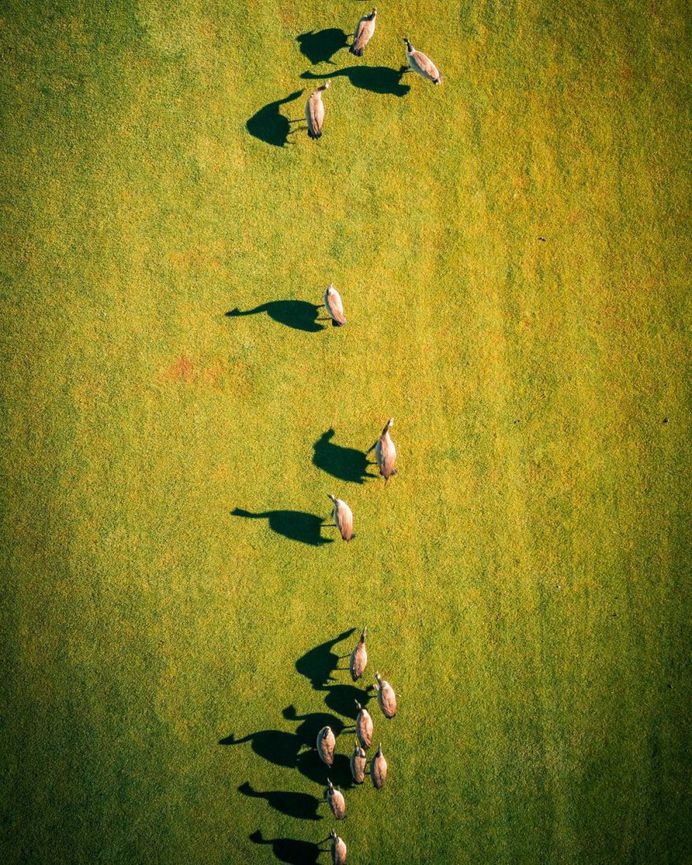 #dronefly: Striking Drone Photography by Austin Divine