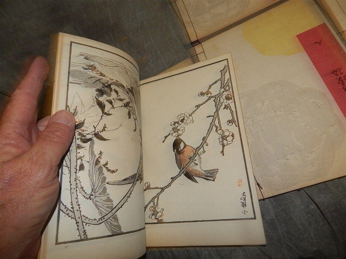 1881-1885-kono-bairei-100-birds_1_2579fae668013360fc8ff98acbbb692c.jpg (1200×900)