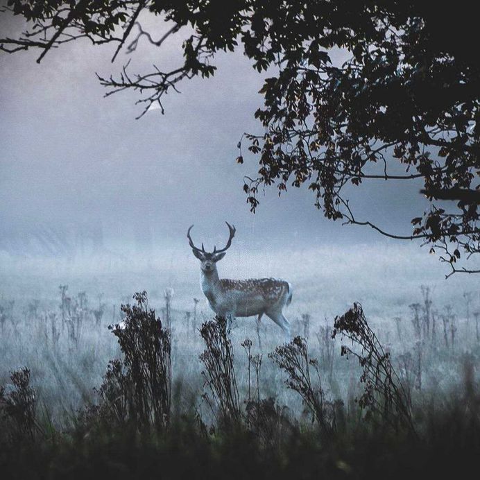 Stunning Travel and Adventure Photography by Glenn Anthonie
